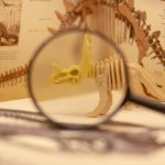 La Evolución de la Morosidad en España 2024: Clave y Soluciones