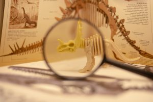 La Evolución de la Morosidad en España 2024: Clave y Soluciones